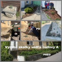 /album/domov-n-o-domov-socialnych-sluzieb/skalka-jpg1/