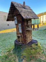 /album/domov-n-o-domov-socialnych-sluzieb/253490446-3093986914260641-6373708590425502415-n-jpg2/