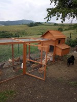 /album/domov-n-o-zariadenie-podporovaneho-byvania/352607533-282436947540314-914710707059851596-n-jpg1/