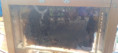 /album/svetovy-den-vciel/att-gwpp3a-woio-mnpp6gbxssxekoriocfimaksbvktlqm-jpg/
