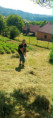 /album/hrabem-hrabes-hrabeme1/77ac02bf-361a-4517-9580-b9b725a9d428-jpg/