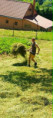/album/hrabem-hrabes-hrabeme1/c0a15782-9a9c-43e6-956e-34c800c51181-jpg/