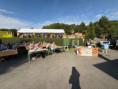/album/z-lavice-do-zivota/img-7137-1-jpg/