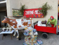 /album/z-lavice-do-zivota/img-8603-1-jpg/