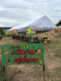 /album/z-lavice-do-zivota/img-8619-1-jpg/