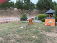 /album/z-lavice-do-zivota/img-8620-1-jpg/