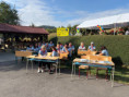 /album/z-lavice-do-zivota/img-8653-1-jpg/