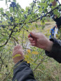 /album/jesenna-prechadzka/att-ka9ou5nsqo9ra4wcoxler0j2lcj-doxdv6332zarxtk-jpg/