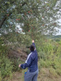 /album/jesenna-prechadzka/att-umej54jlu-2kg1qnqossy3g1iietsmnjvhv-ulhdofy-jpg/