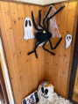 /album/halloweenska-party/img-0670-jpeg/